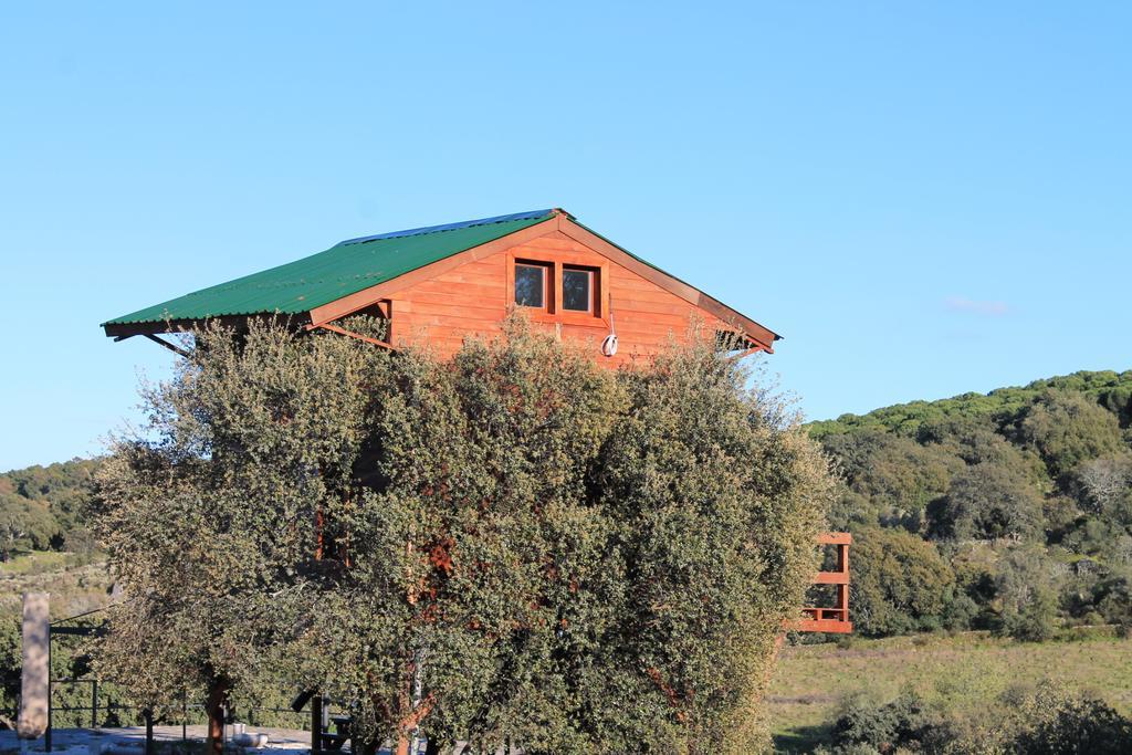 Gasthaus Cabana El Mirador Pedroso de Acim Exterior foto